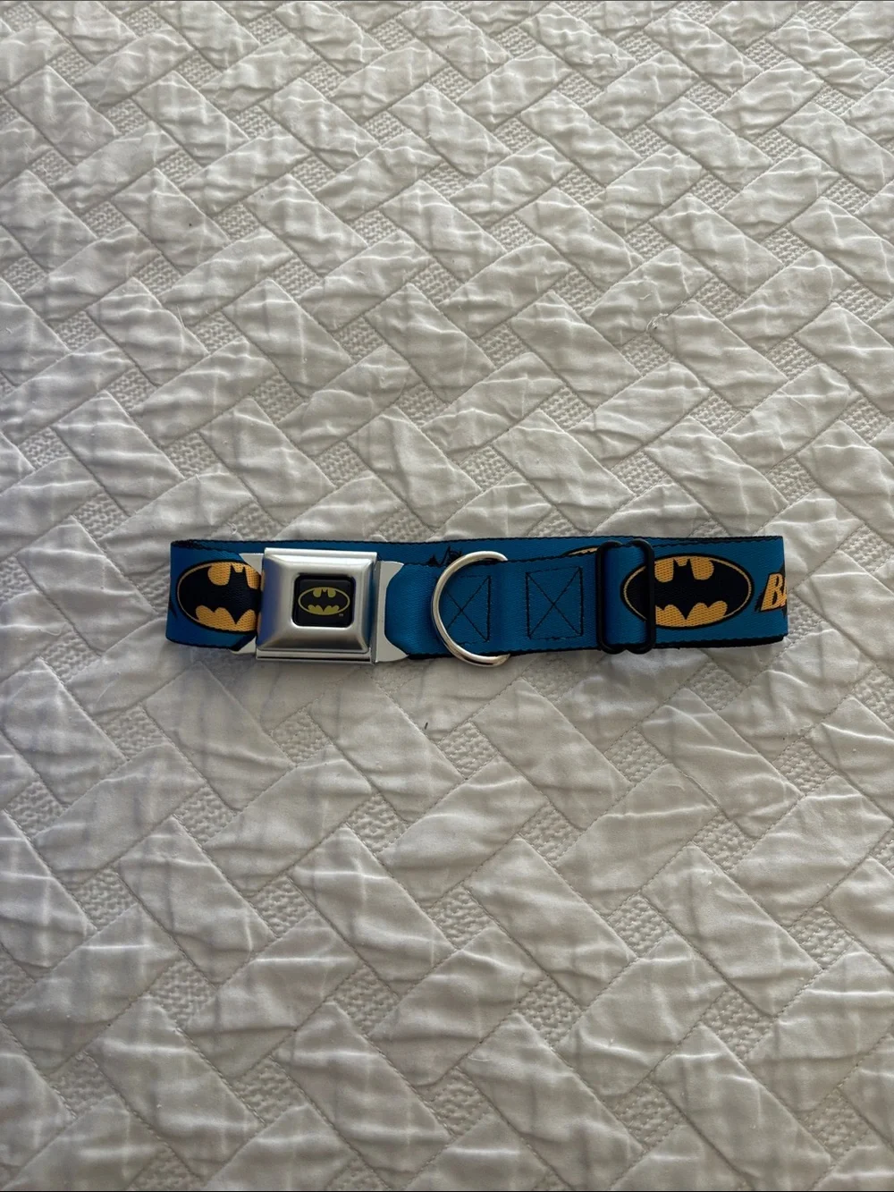 Batman Logo Blue Seatbelt-Style Dog Collar